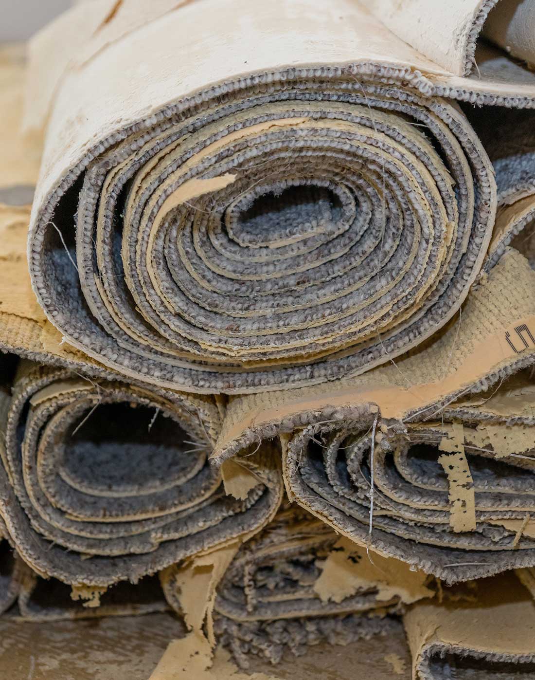 carpet-removal-auckland